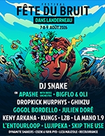 Fete Du Bruit Dans Landerneau - 1 Jour